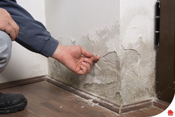 Wall Waterproofing